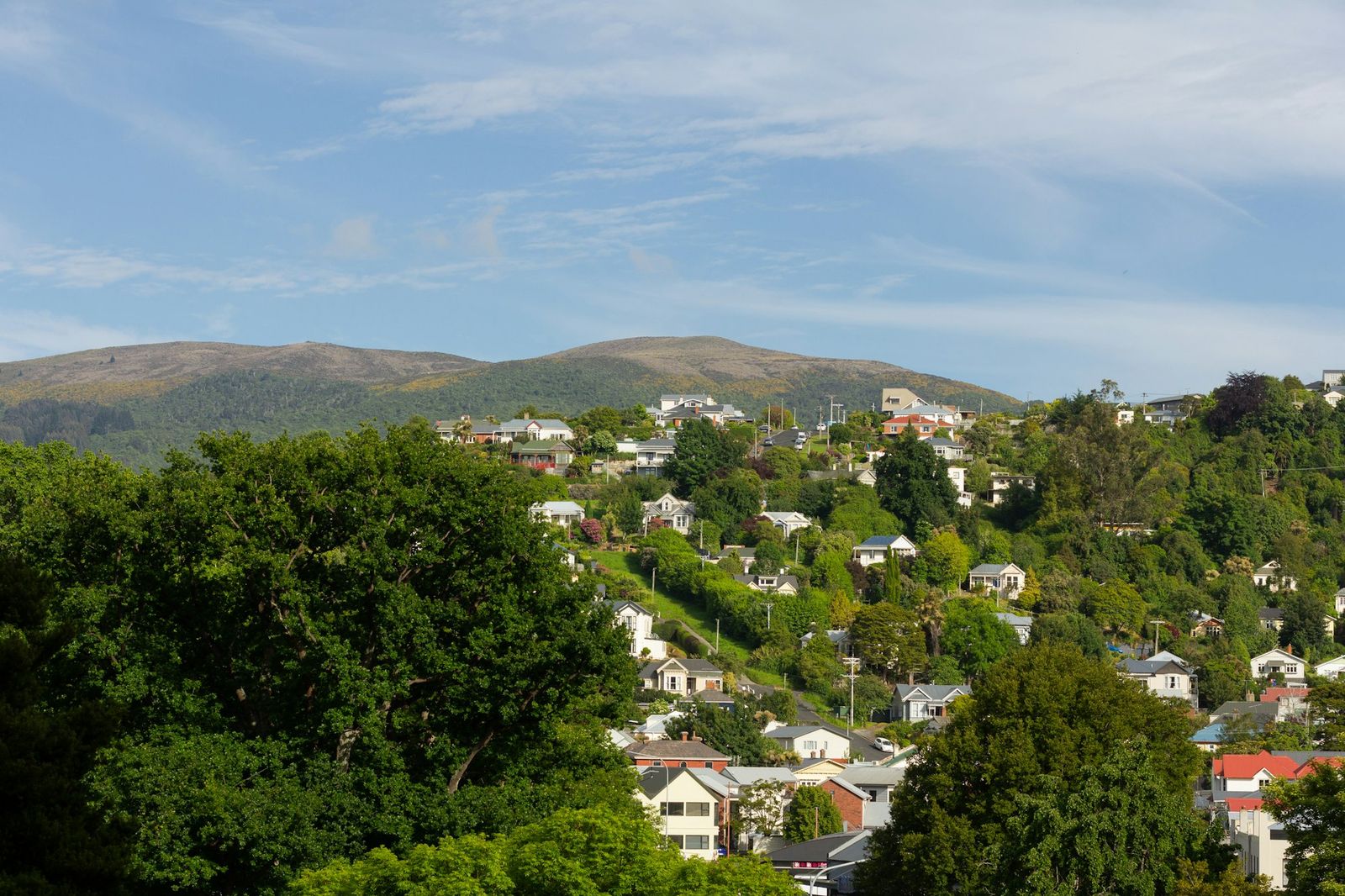 Dunedin city streets with the surrounding hills in the background